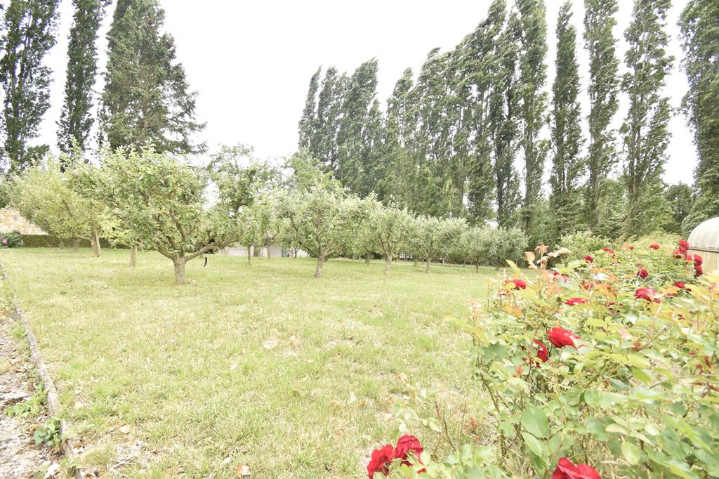 Maison de village ST HILAIRE LEZ CAMBRAI (59292) YOANN HERLEM IMMOBILIER